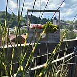 Haus Edelweiss Panorama Incl, Koenigscard דירה