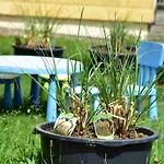 דירה Haus Edelweiss Panorama Incl, Koenigscard *