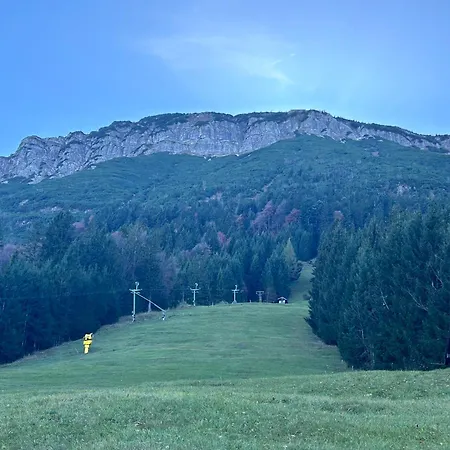 Haus Edelweiss Panorama Incl, Koenigscard * ネッセルヴァンク