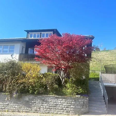 Haus Edelweiss Panorama Incl, Koenigscard דירה
