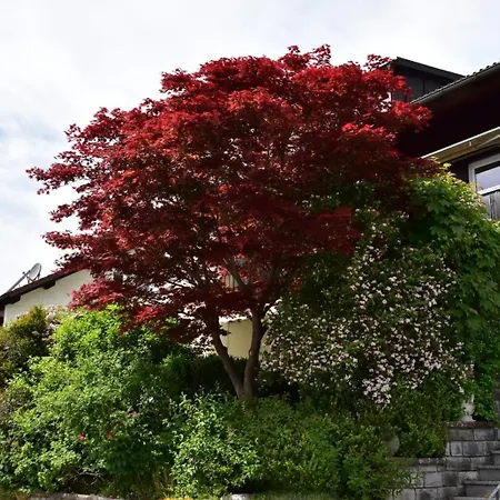 Haus Edelweiss Panorama Incl, Koenigscard Apartamento Nesselwang
